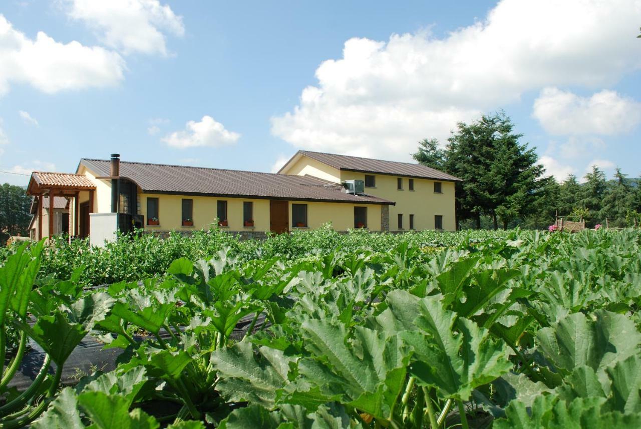 Agriturismo Fiorella Camigliatello Silano Exterior foto
